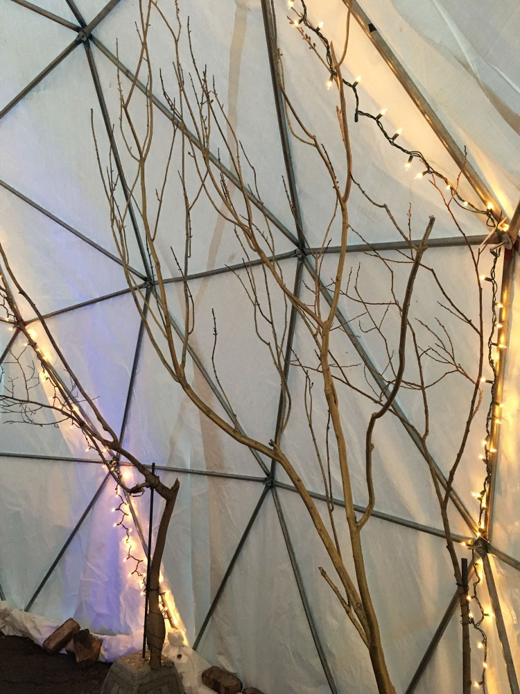 Entwined Forest featuring Manifestation by Katie Forbes & Dan Brown, Fallen Tree Branches, Concrete, LEDs, Public Art Installation for BWB Winter Ball 2017 by Jyl Bonaguro, Jeff Zelnio, Ayda Keschtkar, Marie Socha