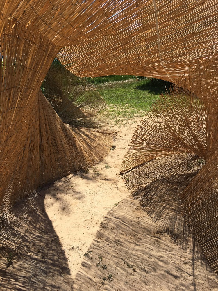 Sub Rosa Reed, Bamboo, Rope, Wire, Public Art Installation for Lakes of Fire 2017 Art Grant Recipient