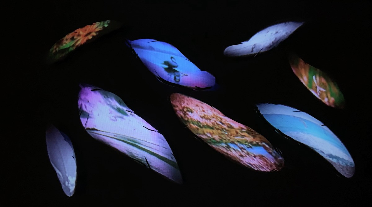 Paper Feather Video Mapping Installation