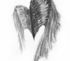 Together Asunder, Wings Series