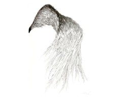 Arise, Wings Series