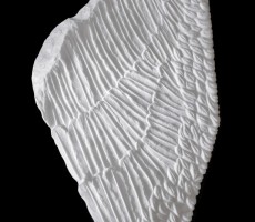 Lifted, Wing Series