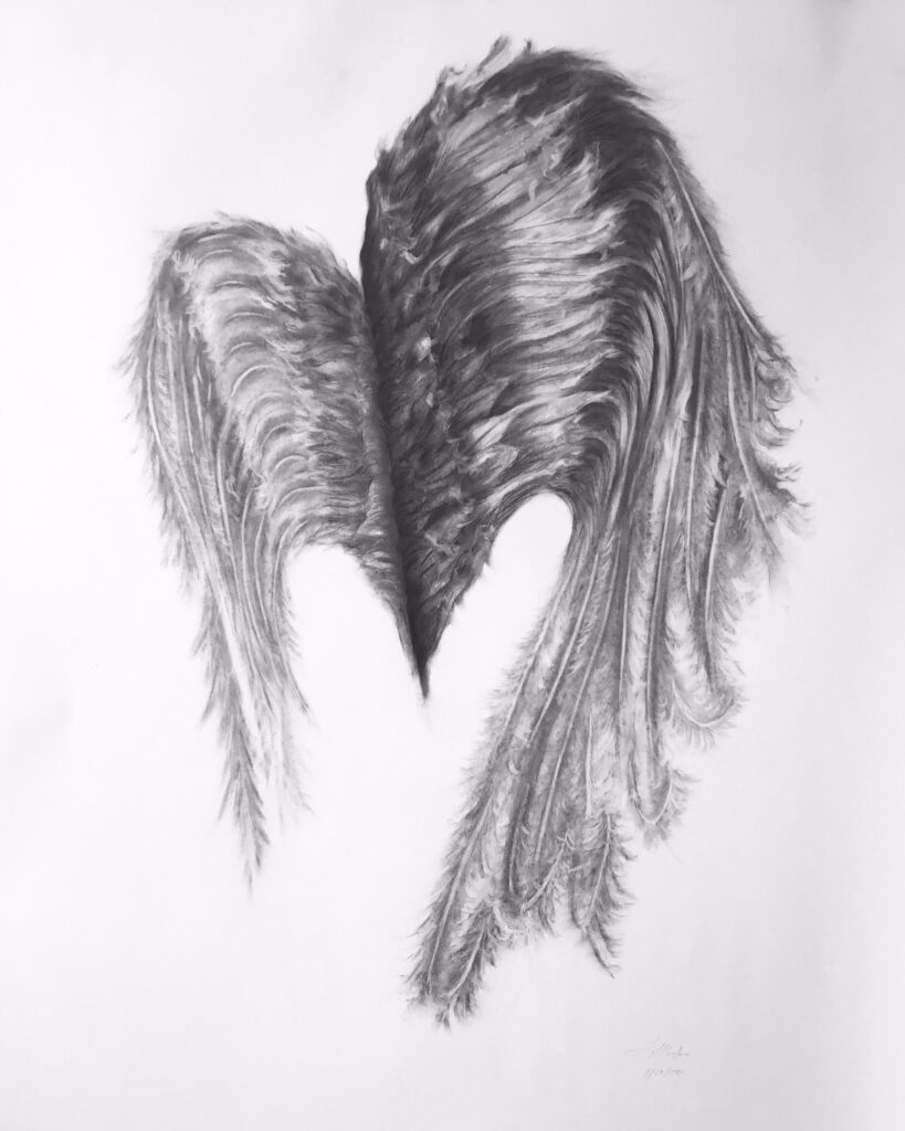 Together Asunder Wing Wings Drawings Jyl Bonaguro
